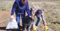 Celebrating National Public Lands Day across the High Desert District in Wyoming