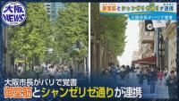 Osaka's Midosuji and Paris' Champs-Elysees Become Sister Streets