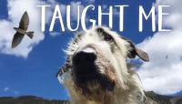 Pam Houston explores healing and kinship from the natural world in ‘Animals Taught Me Everything’