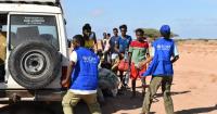 Djibouti boat wreck leaves 139 migrants dead, 84 missing