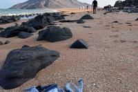 More than 100 migrants are dead after boat capsizes near Djibouti