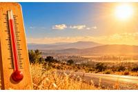Weather: Heatwave grips parts of KZN until Tuesday