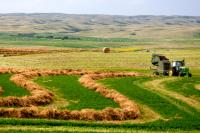 Ottawa's new omnibus bill could cut red tape for Saskatchewan farmers