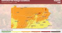 Bucknell botanist: Climate change is reshaping fall foliage season