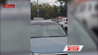 Law enforcement presence at Food Lion in Welcome, NC