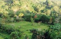 NCIP-Davao warns anew against buying ancestral domain lands