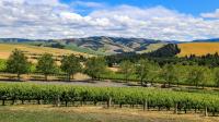 Goodbye Napa Valley, So Long Sonoma County: This Pacific Northwest Region Is Underrated For Wine And Craft Brews