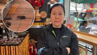 Christchurch restaurant owner says fake rat photos are damaging business reputation