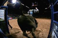 Helldorado Days Returns to Las Vegas With New Perk for Fans