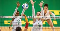 Oregon Volleyball Sweeps The State Of Michigan