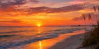 Florida’s weather is about to make a dramatic change, and you’ll feel it