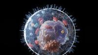 Scientists find a way to spot aging ‘zombie cells’ using light