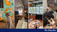 Can Dhaka’s rare pet cafés survive beyond the social media trend?