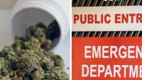 Cannabis psychosis hospital visits skyrocket by 49 per cent in Victoria