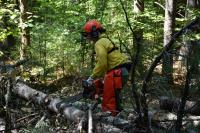 DEC announces graduation of 17 New York State forest rangers