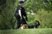 U.S. Secret Service celebrates 50 years of explosive detection K9 program