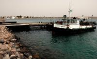 At least 139 migrants die when a boat bound for Yemen capsizes off Djibouti, and all of the more than 80 survivors are Ethiopians, IOM says