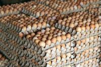 Editorial: Ghana Exporting Eggs To Burkina Faso Is Good But…