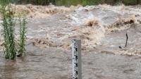 Uruguay River flood causes evacuations in Entre Ríos and Corrientes due to El Niño impact and heavy rains