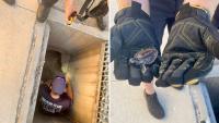 Florida sea turtle hatchlings veer into a storm drain, and rescuers guide them back to the Gulf