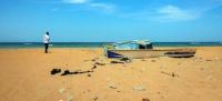 Shipwreck in Djibouti : Death toll rises to 139 as 84 remain missing