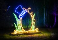 Lumina Park Brings Alice in Wonderland to Budapest After Dark
