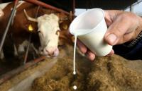 Dairy Farmers warn of Shutdowns and demand urgent Protection of Domestic Production