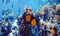 Ensuring marine sustainability