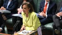 Small Business Minister Anne Aly faces heat over Australian Taxation Office’s ban on credit card payments