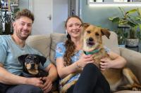 How an abused stray dog from Madagascar found his forever home in Cape Town