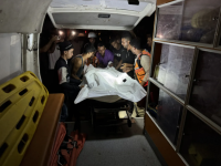 Israeli drone strike kills three Palestinians
