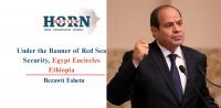 Under the Banner of Red Sea Security, Egypt Encircles Ethiopia