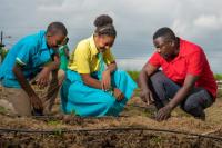 Young People Leading Climate Action Around the World
