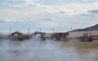 Mongolia to Fully Meet Wheat, Flour, and Potato Demand Internal Needs