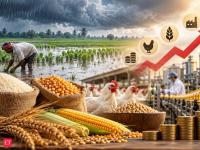 India’s monsoon risks may raise food industry costs: D&amp;B
