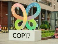 Armenia invites visitors to explore COP17 Green Zone