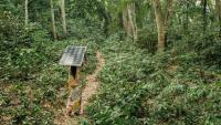 Accelerating energy access in DRC through inclusive, cross-sectoral planning