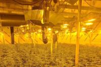 Pair detained after 'substantial' cannabis farm is recovered by Durham Police from Seaham industrial estate
