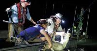 Arkansas alligator hunters fill 197 tags