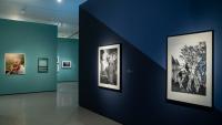 Never seen before: Baltimore photography retrospective takes the spotlight at the BMA