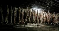 Beef import surge more about supply and demand than politics