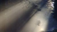 Weather & Traffic: Monday 12 October: a misty mood