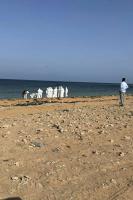 At least 139 die after boat capsizes near Djibouti
