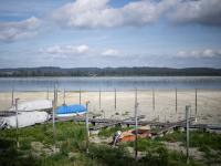 Drought conditions in Switzerland persist despite rainfall