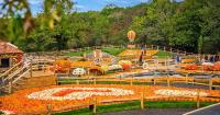 Europe’s largest pumpkin festival just 90 minutes from London is now open to visit