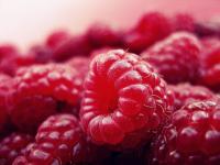 Belgium: Cadmium in raspberries from Serbia