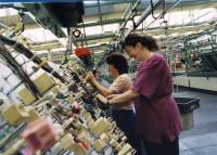Reduced unemployment in Serbia: What is hidden behind the rosy statistics