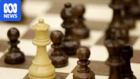 Chess professional's alleged stalker goes on hunger strike