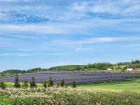 Two different views of the governor’s energy plan