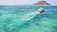  Death Toll From Yemen-Bound Migrant Shipwreck off Djibouti Rises to 139 